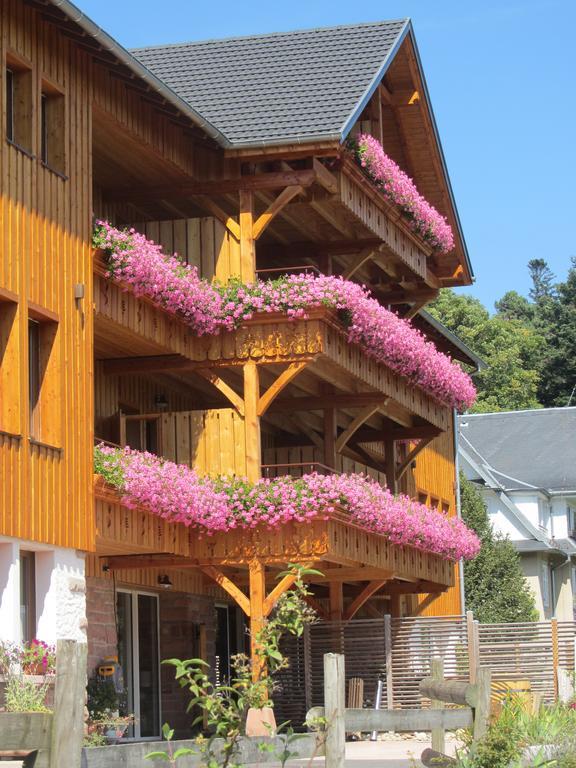 Les Gites D'Adelspach Gites & Spa En Alsace Aubure Exterior foto